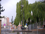 IMGP6672.jpg