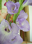 IMGP6743.jpg