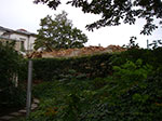 IMGP6749.jpg