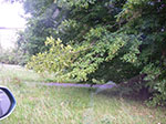 IMGP6767.jpg