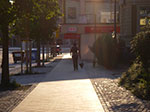 IMGP6769.jpg