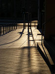 IMGP6771.jpg
