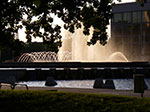 IMGP6775.jpg