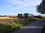 IMGP6804.jpg