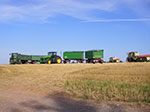 IMGP6809.jpg