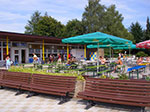 IMGP6810.jpg