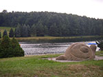IMGP6811.jpg