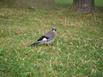 Photos