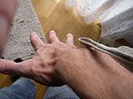 IMGP6854.jpg