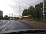 IMGP6925.jpg
