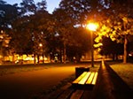 IMGP6959.jpg