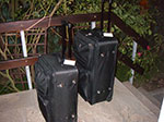 IMGP6986.jpg
