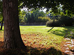 IMGP0076.jpg