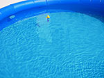 IMGP0101.jpg