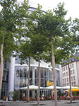 IMGP0105.jpg