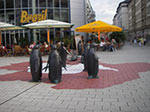 IMGP0106.jpg