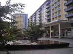IMGP0110.jpg