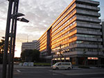 IMGP0137.jpg