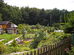 IMGP0156.jpg