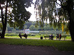 IMGP0167.jpg