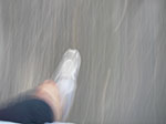 IMGP0178.jpg