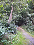 IMGP0182.jpg