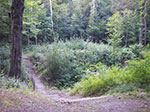 IMGP0183.jpg