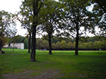 IMGP0184.jpg