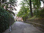 IMGP0187.jpg