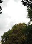 IMGP0188.jpg