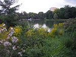 IMGP0194.jpg