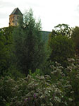 IMGP0195.jpg