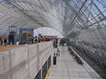 IMGP0229.jpg