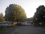 IMGP0256.jpg