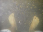 IMGP0276.jpg
