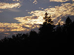 IMGP0295.jpg