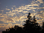 IMGP0300.jpg