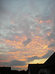 IMGP0307.jpg