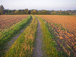 IMGP0332.jpg