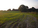 IMGP0343.jpg