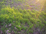 IMGP0344.jpg