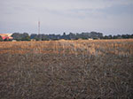 IMGP0345.jpg