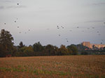 IMGP0350.jpg