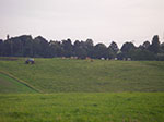 IMGP0351.jpg