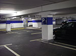 IMGP0352.jpg