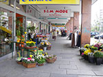 IMGP0357.jpg