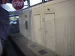 IMGP0474.jpg