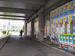 IMGP0480.jpg