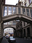 IMGP0537.jpg