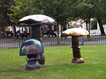 IMGP0605.jpg